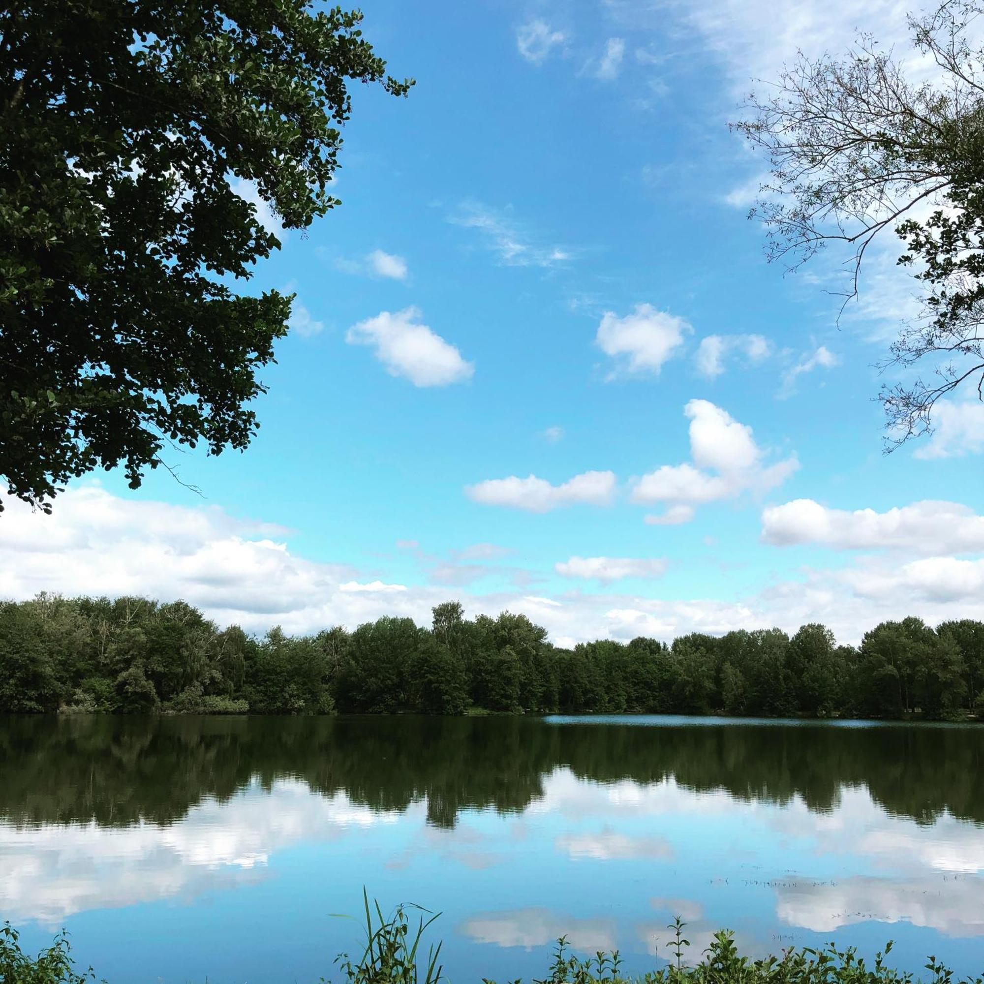 Gite De La Cote A Autreville Sur Moselle 외부 사진